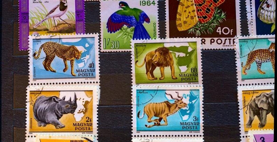 Jakie tematyczne znaczki pocztowe przyciągają inwestorów?