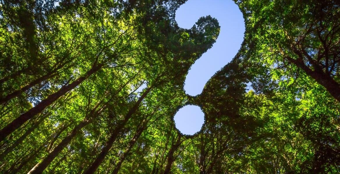 Rola producenta w minimalizacji wpływu na środowisko w branży tworzyw sztucznych