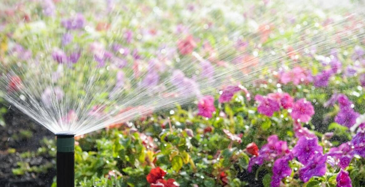 Jakie korzyści niesie ze sobą profesjonalna instalacja systemów nawadniających?