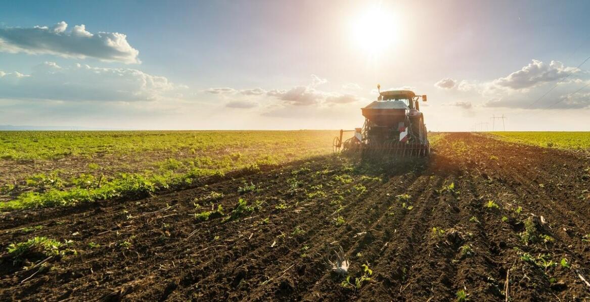 Jakie zalety mają nowoczesne agregaty uprawowo-siewne w dużych gospodarstwach?