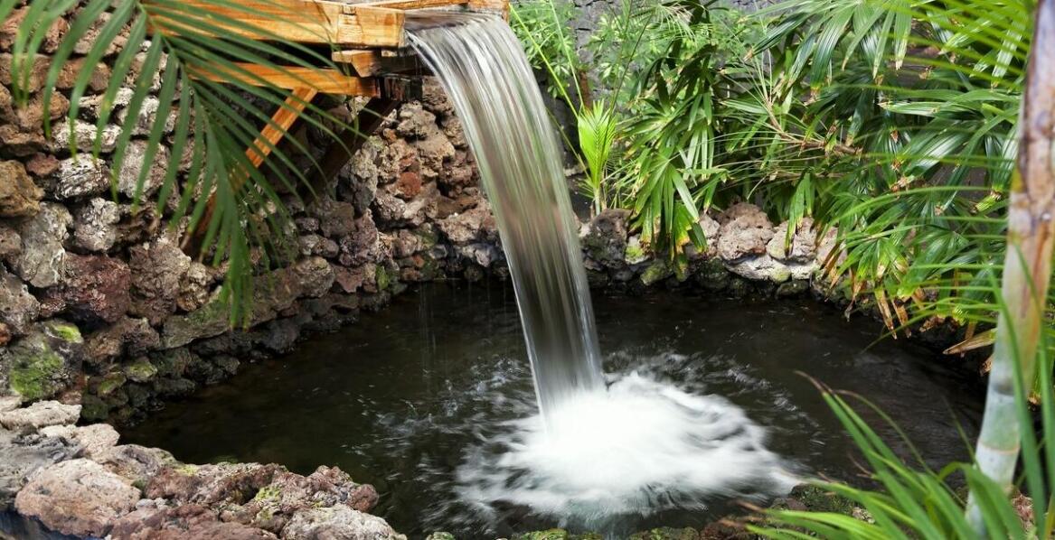 Dlaczego warto zainwestować w filtr przepływowy do oczka wodnego?