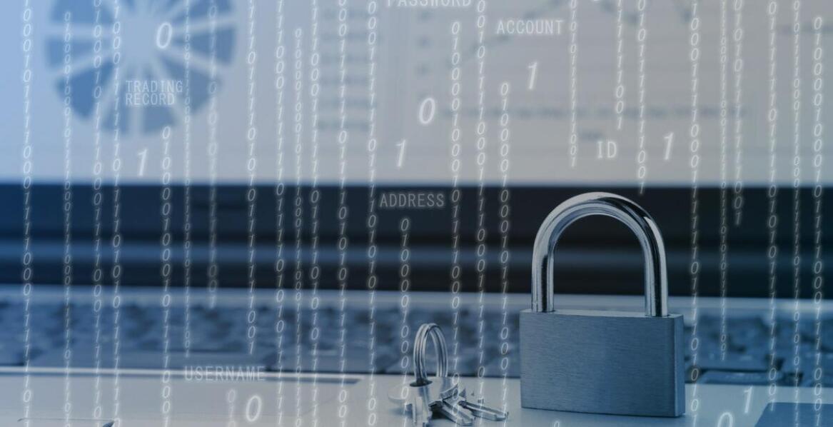 Rola plików cookies w personalizacji oferty sklepu internetowego