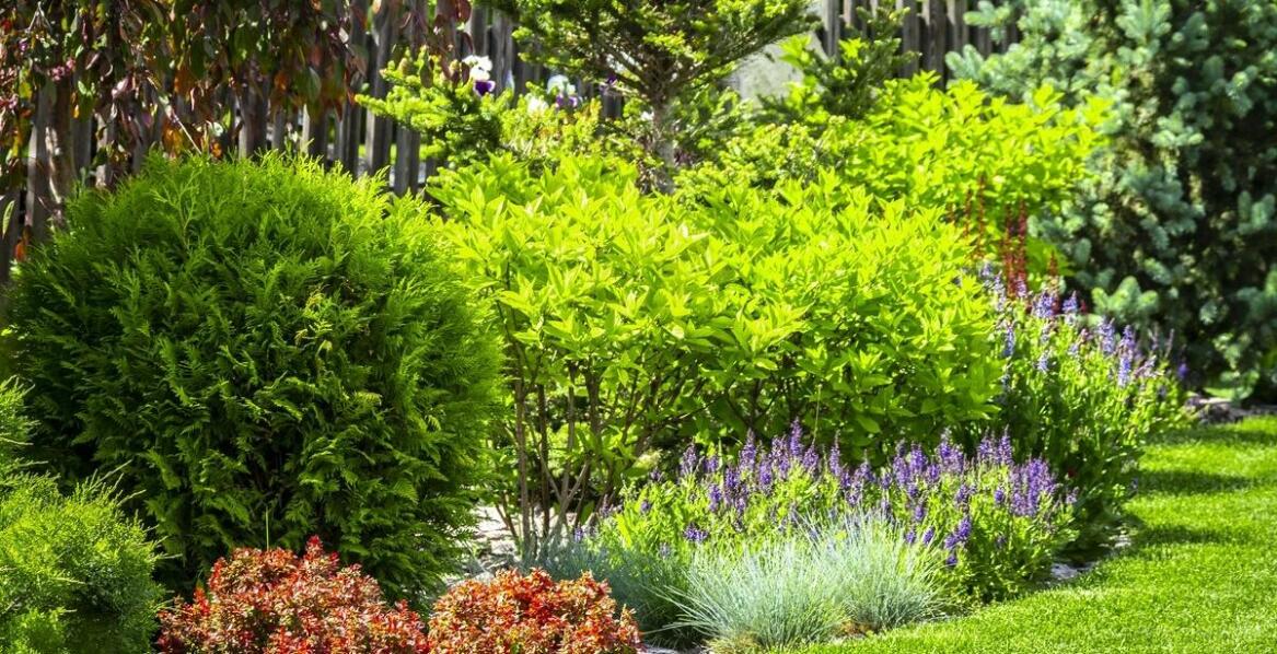 Jakie techniki mulczowania gleby są najskuteczniejsze?