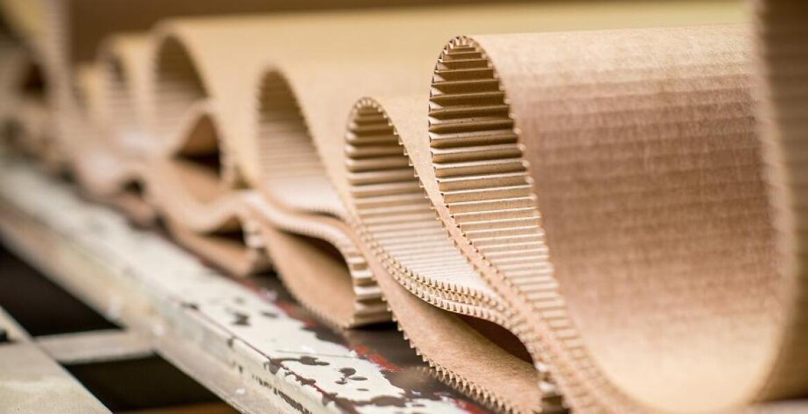 Nowoczesna fabryka tektury – proces produkcji i innowacje