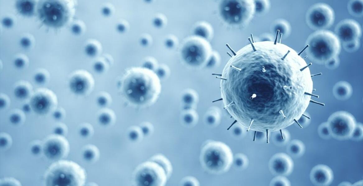 Dlaczego ważne jest szybkie działanie w przypadku podejrzenia zakażenia świerzbowcem norweskim?