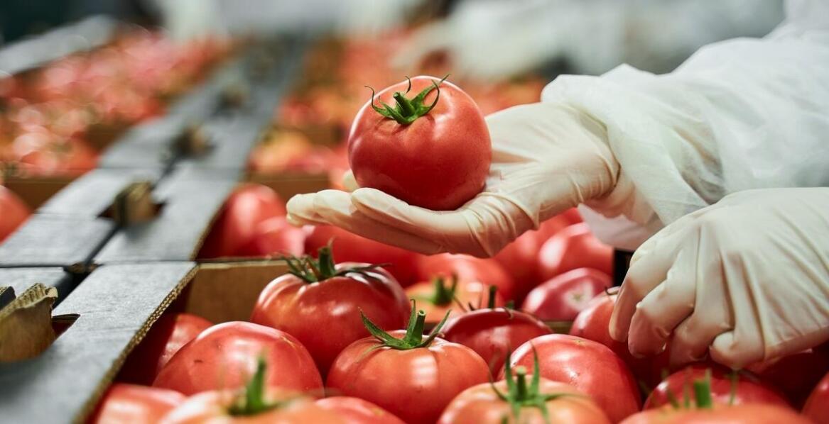 Zastosowanie powłok chemoodpornych w branży spożywczej: bezpieczeństwo i higiena