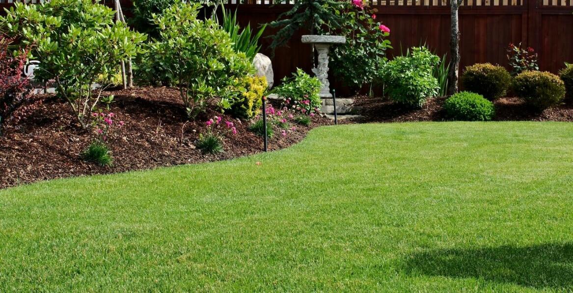 Dlaczego nawóz do trawy Biopon jest idealnym wyborem dla amatorów ogrodnictwa?