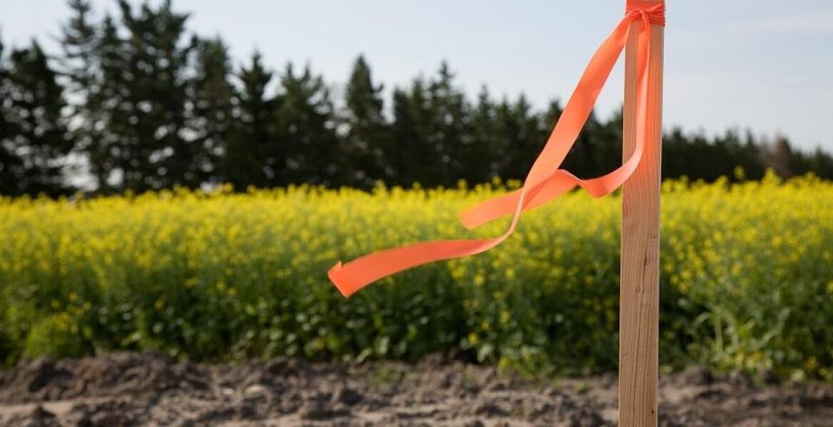 Trwałe oznaczenia granic działek i terenów prywatnych