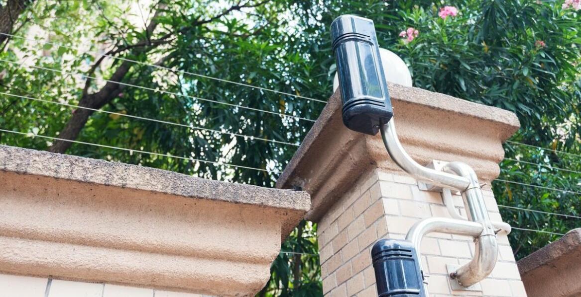 Jakie urządzenia elektroniczne skutecznie odstraszają kuny?