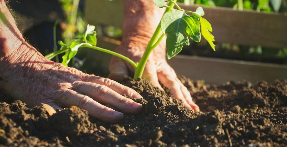 Jakie są zalety wyboru kerlitu w projektach renowacyjnych?