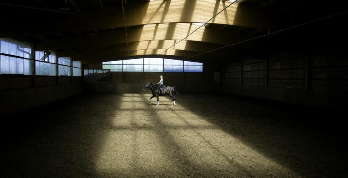 Kryta ujeżdżalnia – jakie wymiary zapewnią najlepsze warunki do nauki jazdy konnej?