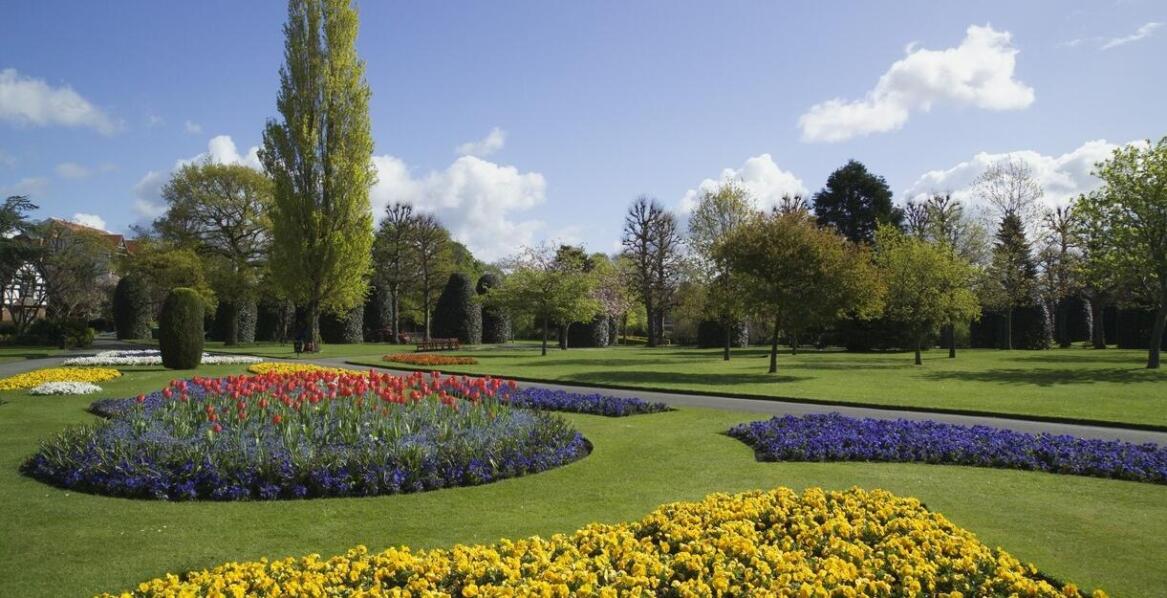 Jakie są trendy w aranżacji ogrodów z wykorzystaniem robinii na pniu?