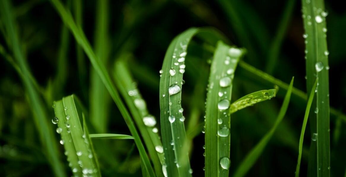 Zastosowanie deszczomierzy w systemach ostrzegania przed powodziami – co warto wiedzieć?