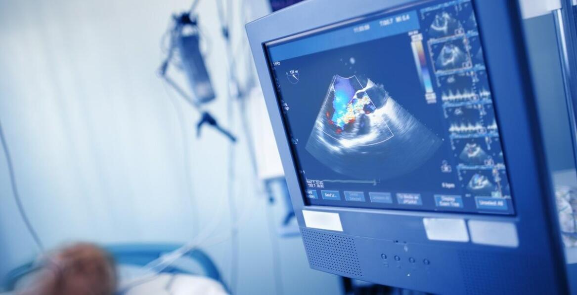 Rola echokardiografii w diagnostyce chorób serca u zwierząt