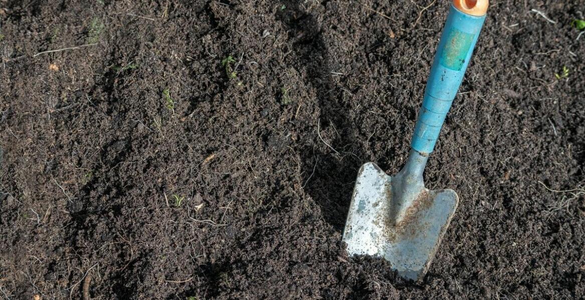 Biohumus w uprawach kwiatów – dlaczego warto go stosować?