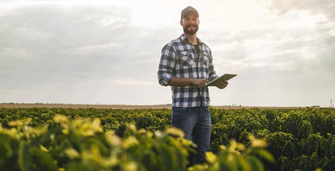 Jakie zmiany w przepisach dotyczących VAT mogą dotyczyć rolników sprzedających kukurydzę?