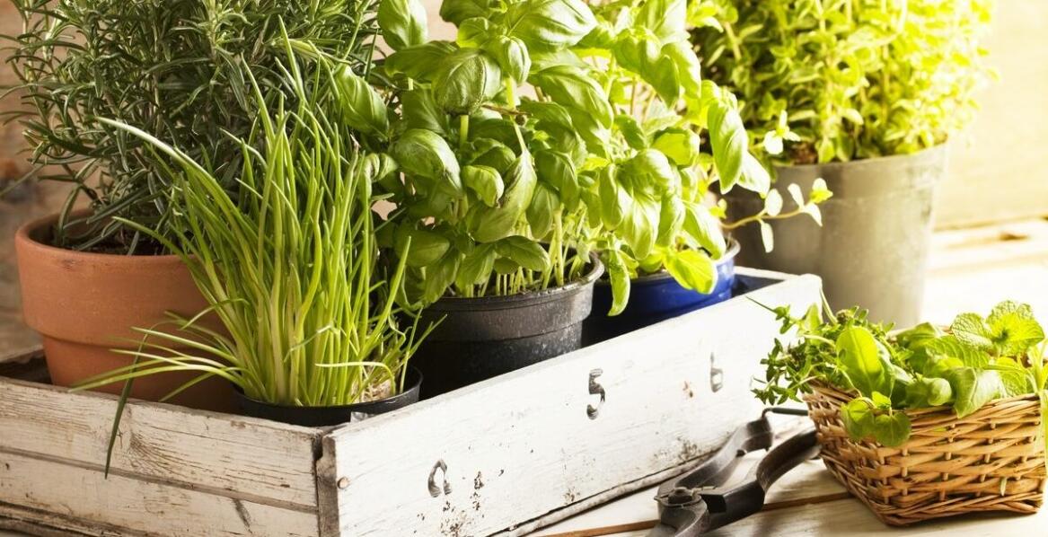 Jak dbać o karafkę, aby zachowała swój blask na lata?