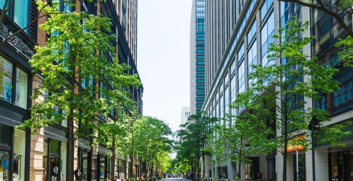 Separator drogowy betonowy jako element poprawiający bezpieczeństwo pieszych