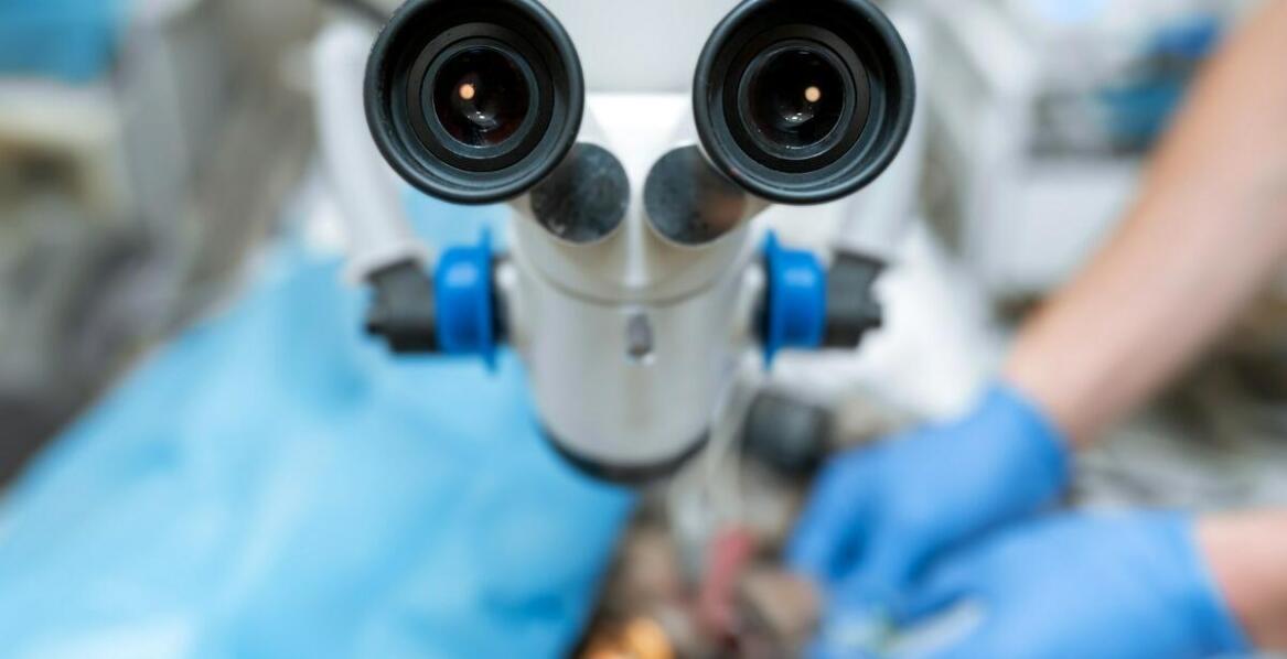 Dlaczego mikroskop jest kluczowy w skutecznym leczeniu kanałowym?