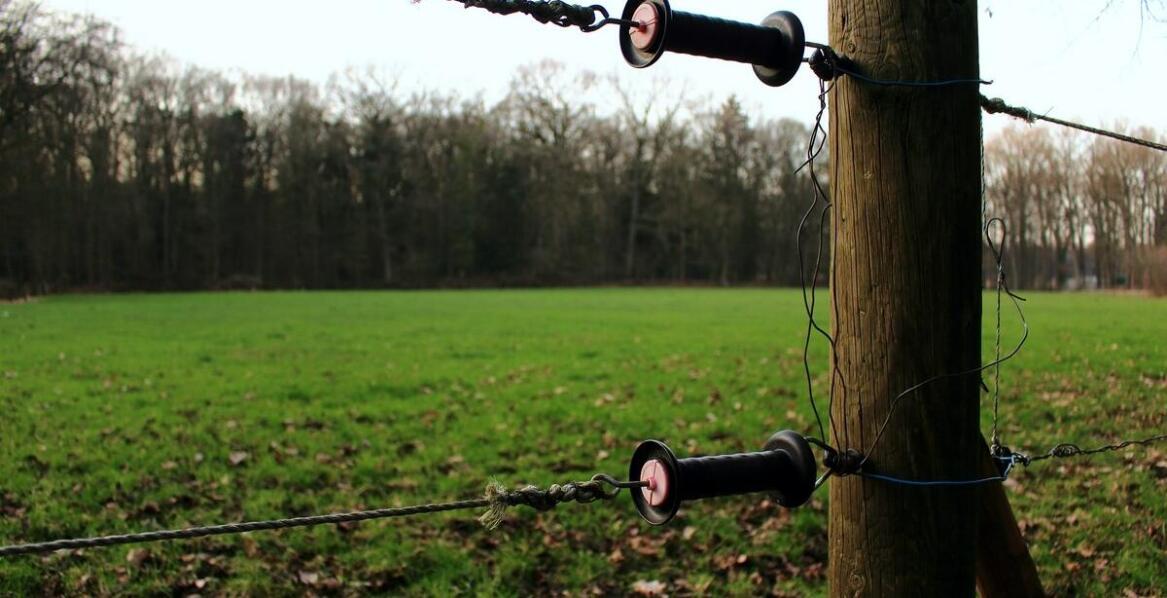 Elektryzator jako kluczowy element nowoczesnych ogrodzeń elektrycznych