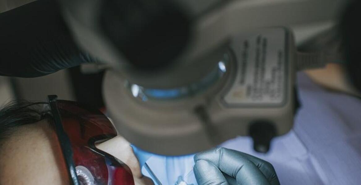 Czym jest endodoncja i jakie usługi oferowane są w tym zakresie?