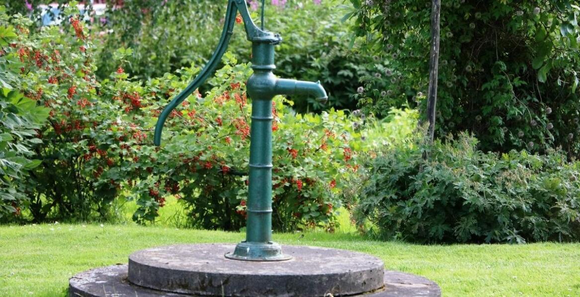 Dlaczego warto mieć pompę w ogrodzie?