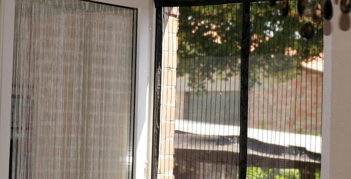 Jakie są zalety i wady moskitier w oknach?