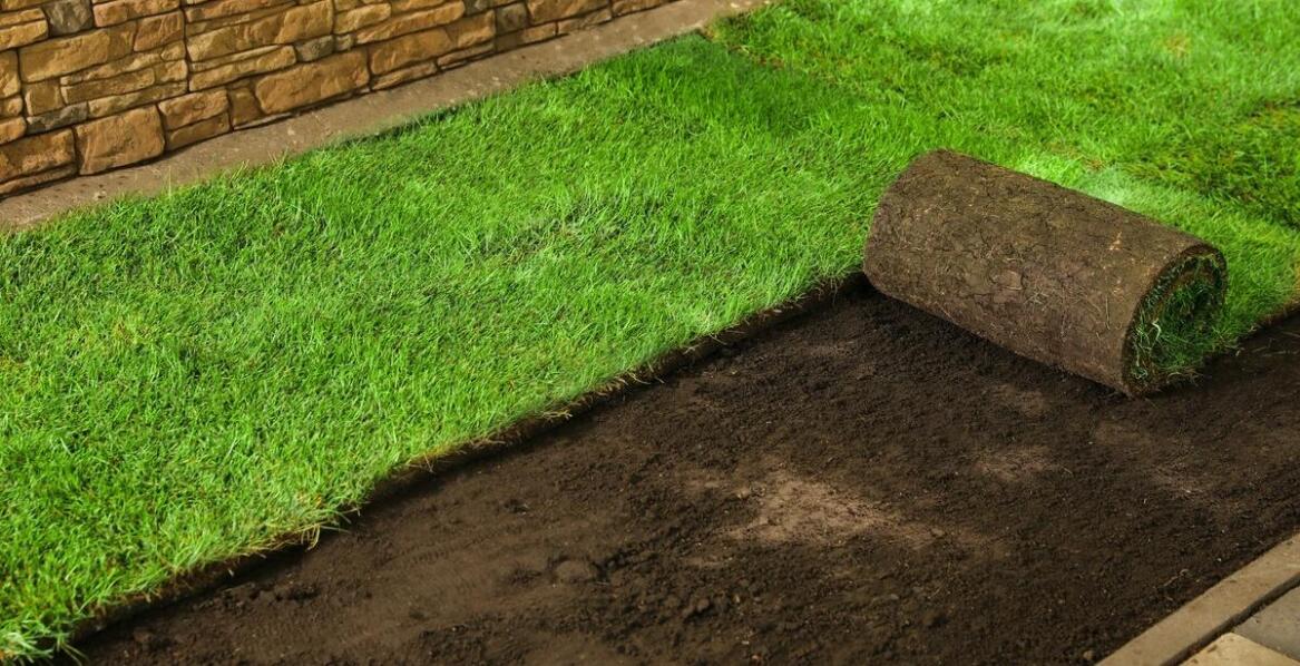 Porównanie trawy z folii i trawy odcinanej od gruntu – co warto wiedzieć?