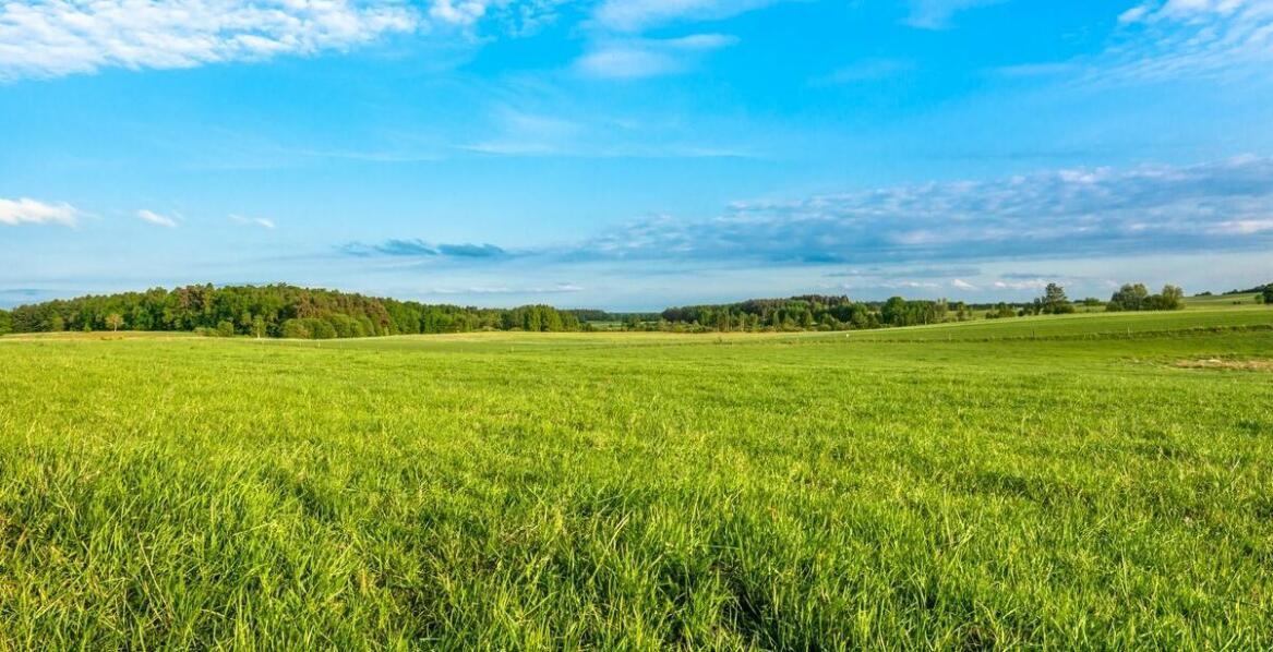 Jak bliskość terenów zielonych wpływa na atrakcyjność nowych inwestycji mieszkaniowych?