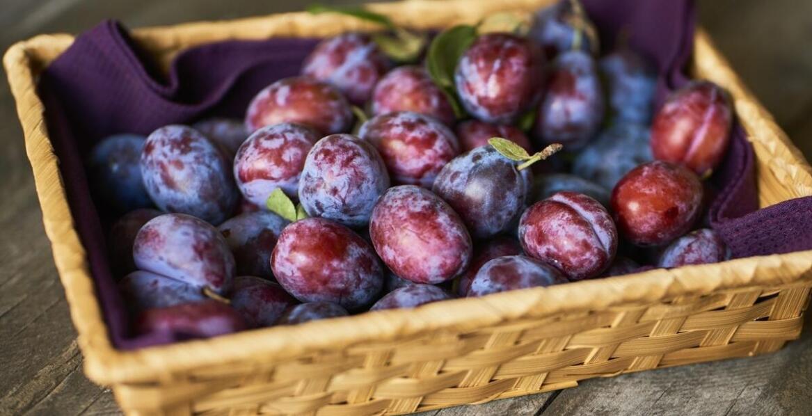 Naturalne przetwory — jak powstają i dlaczego są lepszym wyborem niż sklepowe dżemy?