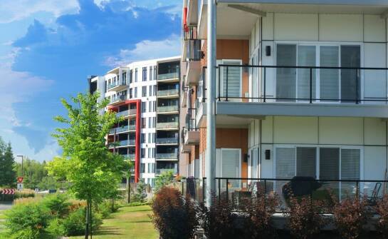 Zabezpieczenia przeciw ptakom – jak wpływają na wartość nieruchomości?