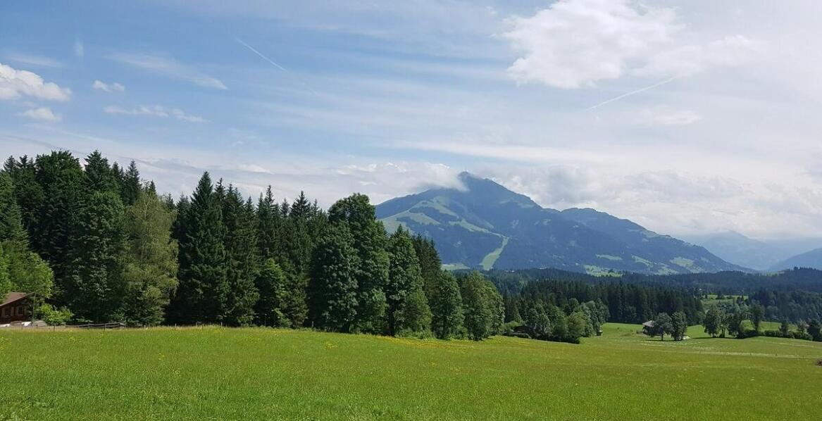Spacer w koronach drzew – idealna okazja do zdjęć z wakacji