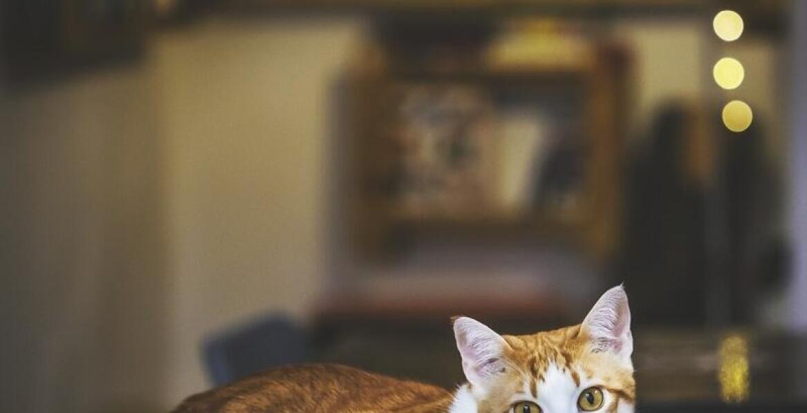 Jakie są najważniejsze dzieła Bolesława Kasprowicza i gdzie można je zobaczyć?