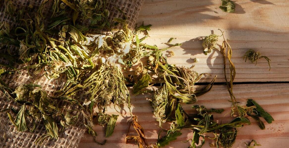 Wybór odpowiedniej siatki pryzmowej - na co zwrócić uwagę?