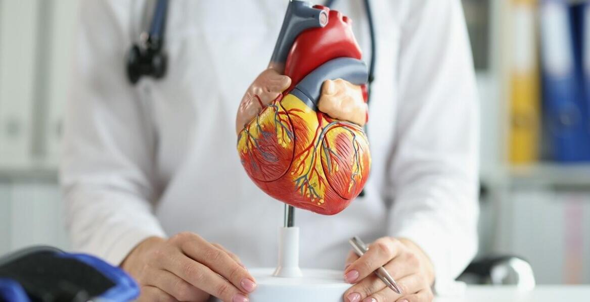 Jakie profilaktyczne badania kardiologiczne warto wykonać po 50. roku życia?