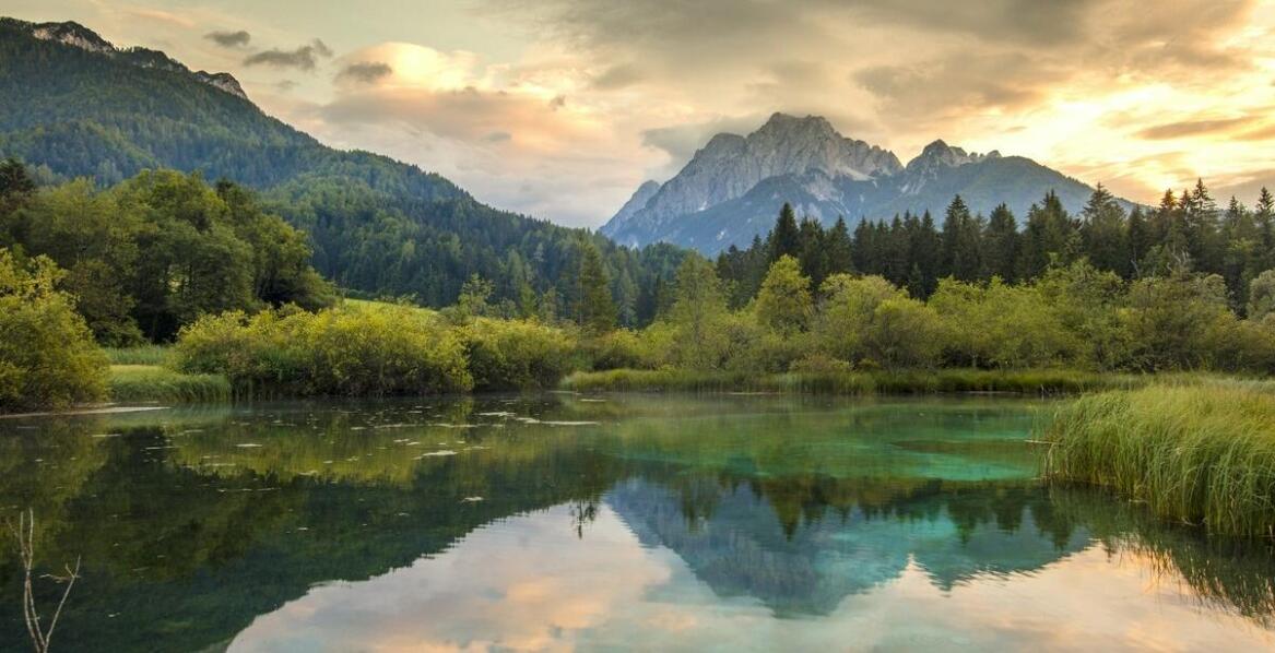 Czy woda oligoceńska może wspierać zdrowie kości i stawów?