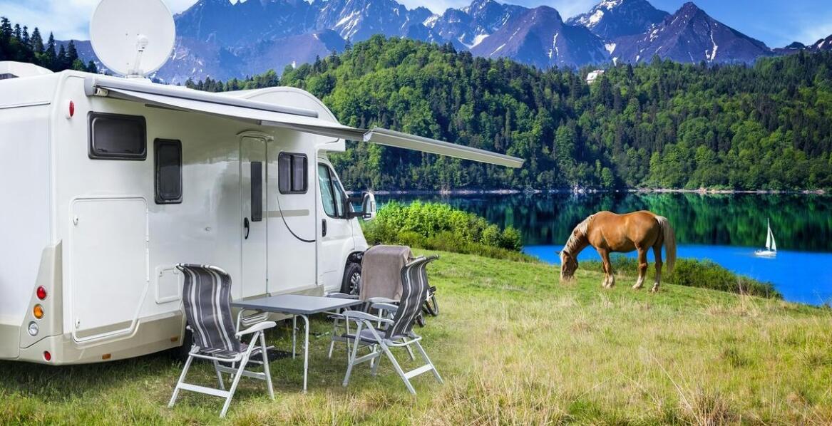 Przyczepy do przewozu koni z nowoczesnym oświetleniem: co warto wiedzieć?