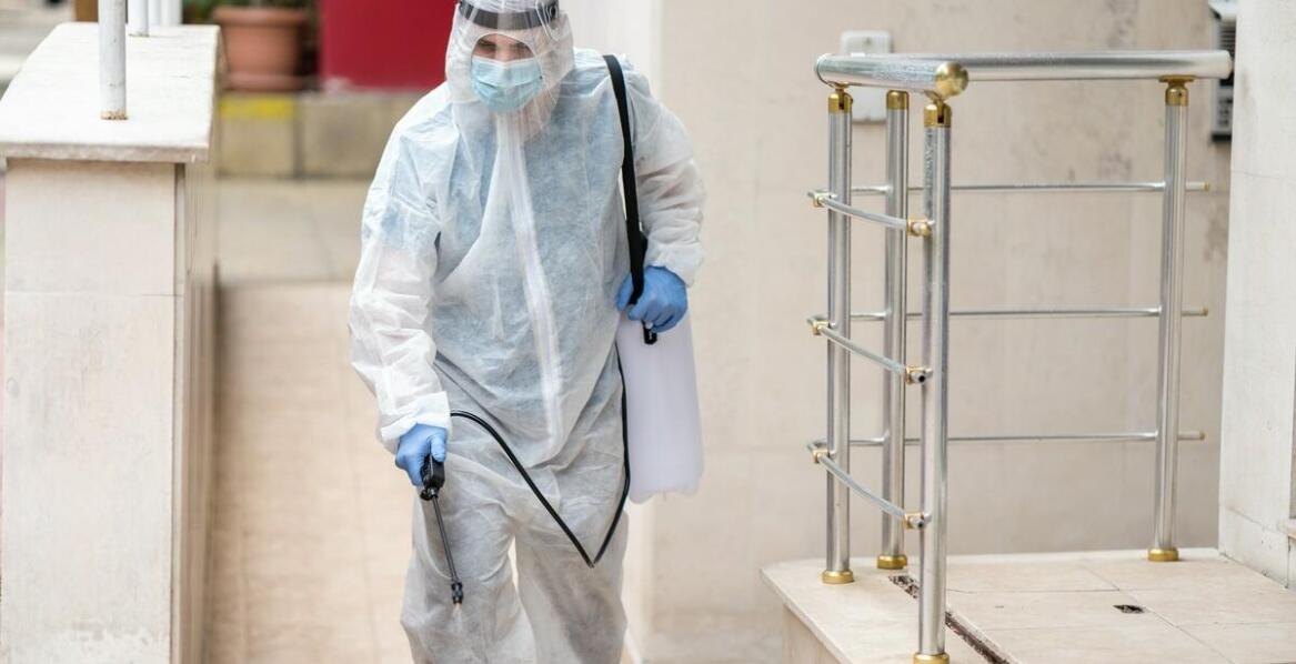 Profesjonalne usługi zwalczania os – dlaczego są niezbędne?