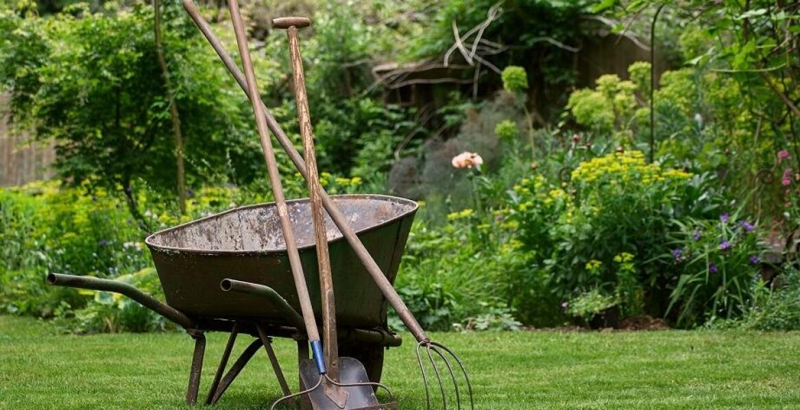 Jaki sprzęt może okazać się niezbędny podczas zakładania ogrodu?