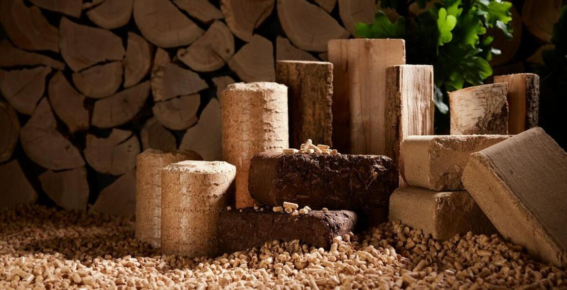 Jakie są najpopularniejsze rodzaje drewna opałowego w tartakach?