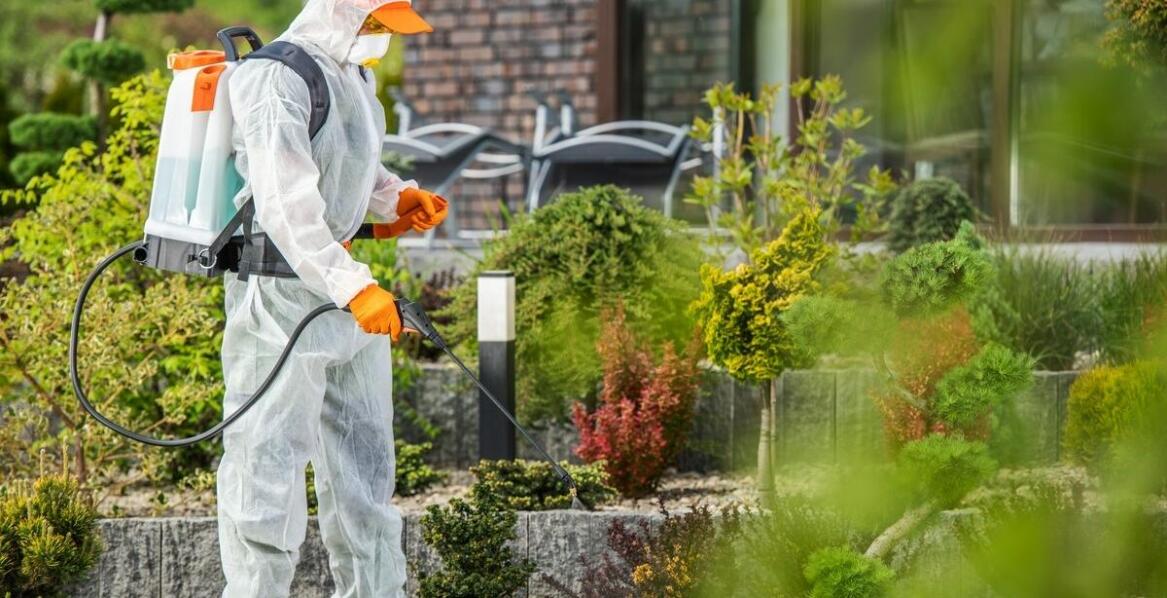 Rola biologicznych metod w dezynsekcji mieszkań i biur