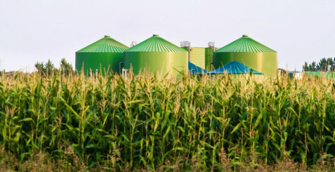 Silosy płaskodenne a oszczędność miejsca – jak to działa?