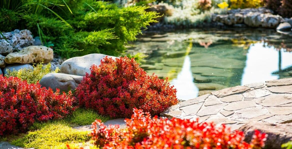 Najlepsze praktyki w klejeniu skały morskiej dla trwałych i estetycznych efektów