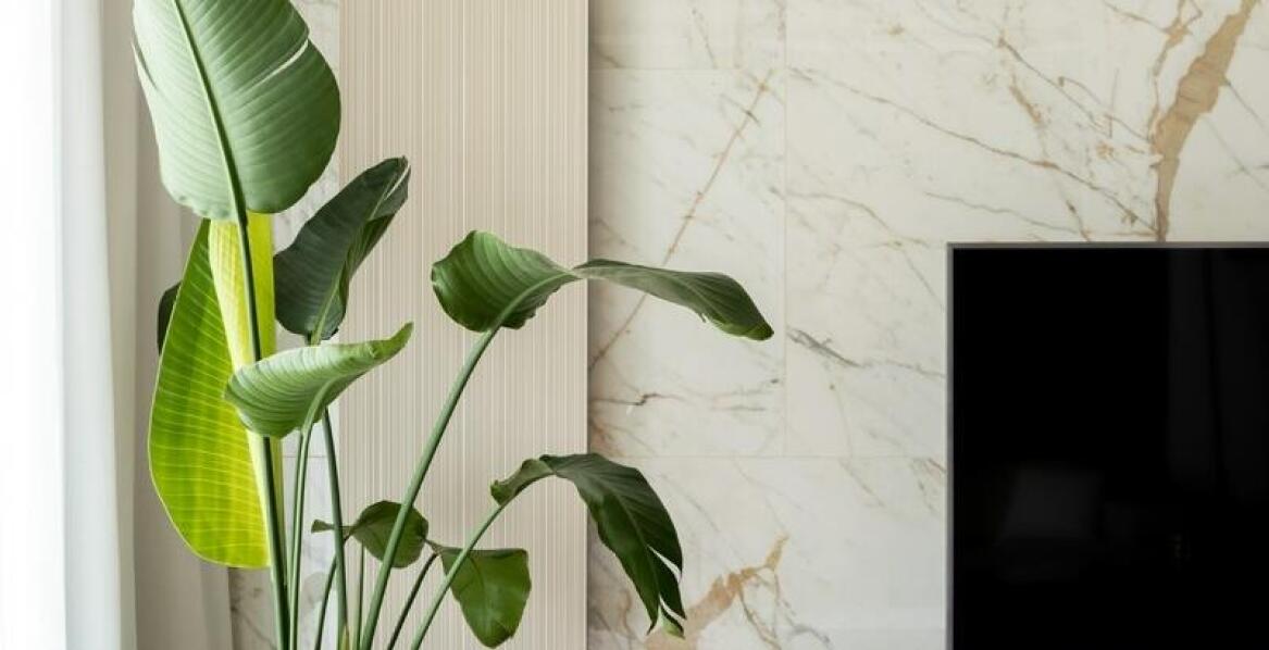 Jakie są różnice między tradycyjnymi a nowoczesnymi radiatorami kominkowymi?