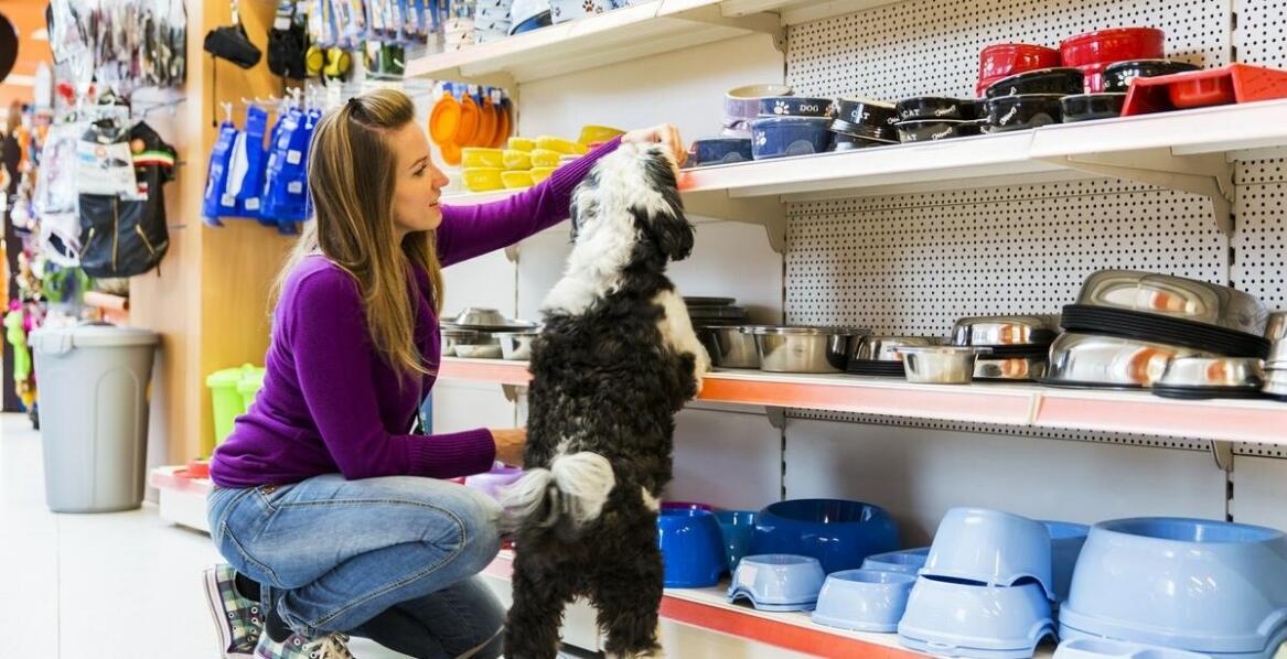Na co zwrócić uwagę przy wyborze sklepu zoologicznego? Jakość, dostępność i obsługa