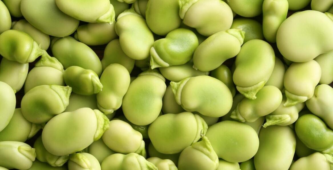 Zmielone nasiona kozieradki w dietach roślinnych – zastosowanie i korzyści