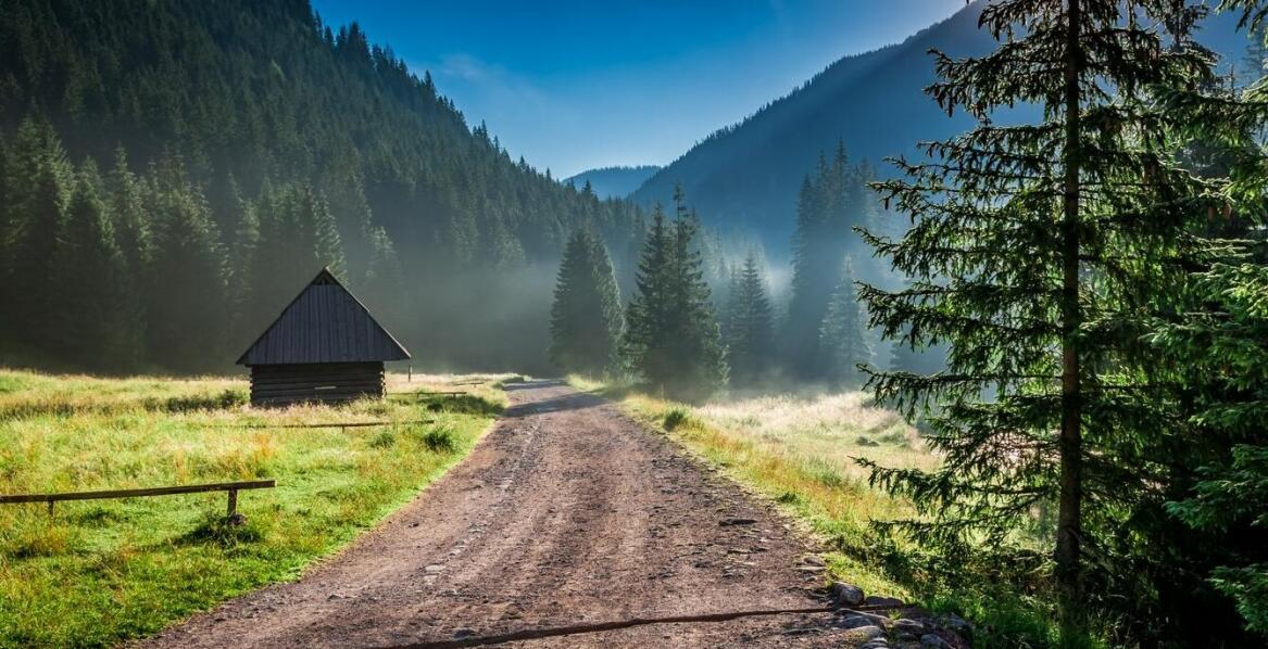 Roztocze noclegi dla miłośników przyrody - bliskość natury