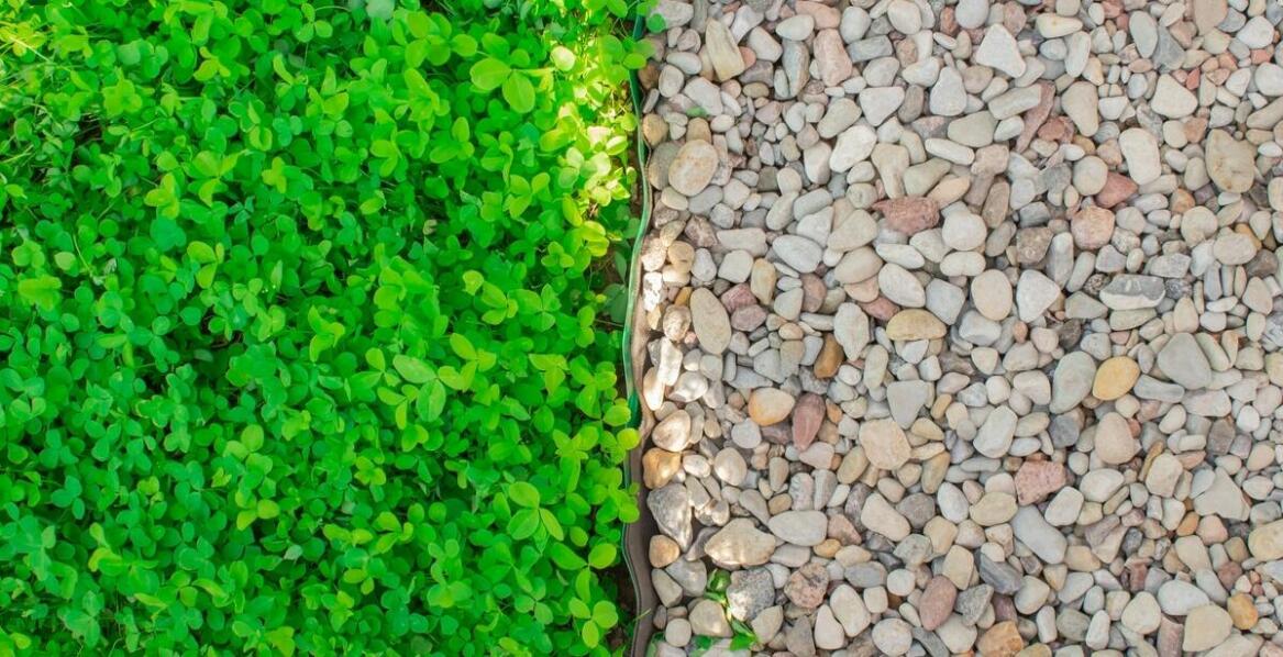 Trzmielina zielona – jak wkomponować ją w istniejącą architekturę ogrodu?