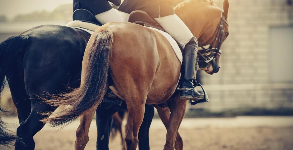 Porównanie klasycznych i nowoczesnych modeli wędzideł – co wybrać?