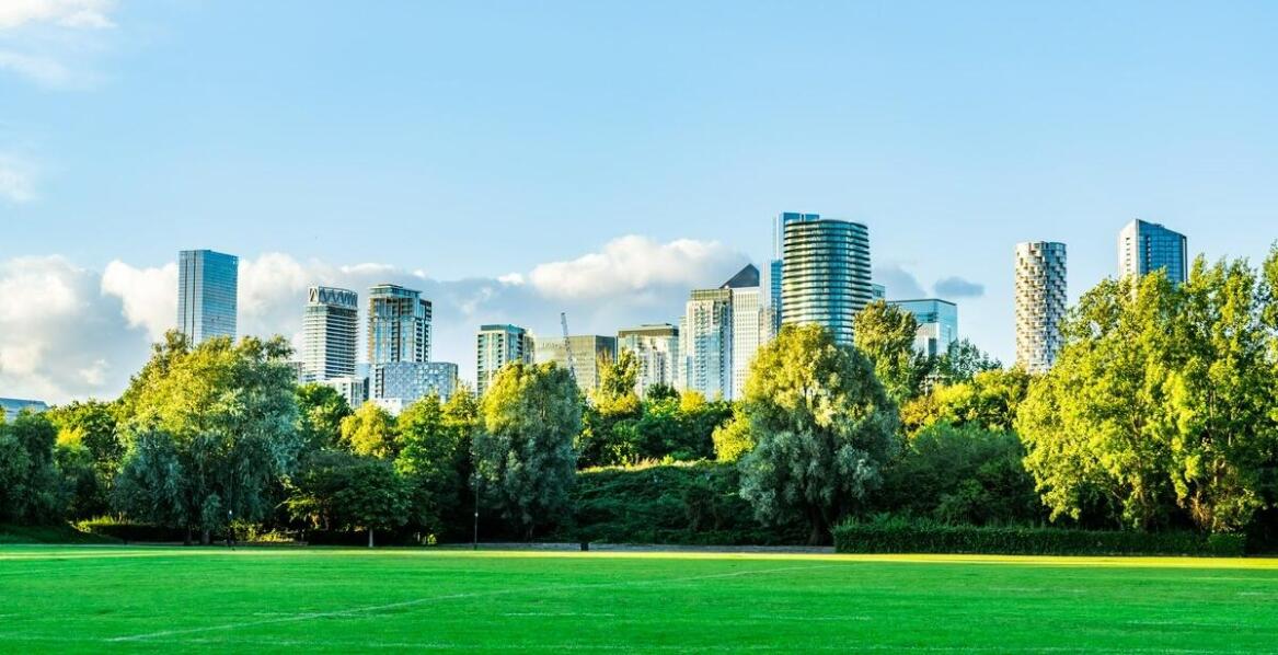 Jakie usługi oferuje agencja ochrony w zakresie zabezpieczenia terenów zielonych?